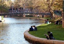 Eskişehir'de hangi meyveler yetişir? Eskişehir'de yetişen meyveler hangileri?