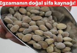 Saça sürünce kepek ve egzamanın kökünü kurutuyor! Diplere masaj yaparak uygulayın
