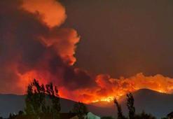 Yangına aldırış etmeden tatil yaptılar