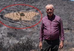 Ödemiş'teki yangında bir tek Ahmet Türk'ün arsası yanmadı! İşte şaşırtan görüntünün nedeni