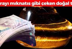 Bolluk bereket ve zenginliği mıknatıs gibi çekiyor! 1 parça kullanmak yetiyor, paraya ve cüzdana bereket veriyor