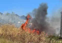 Büyükçekmece'de otluk alanda yangın! Rüzgar nedeniyle büyüdü