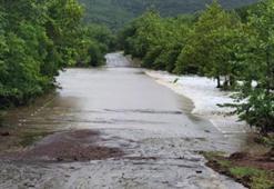 Yağmur değil ölüm yağdı: Texas’ta sel 82 can aldı