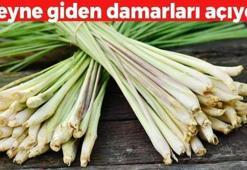 Türkiye'den tüm dünyaya yayıldı: İbn-i Sina yüzyıllar önce onu önerdi! Beyinde ve damardaki tıkanıklığı geçiren tek besin