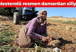 Avrupa tescilli lezzette hasat vakti! Kilosu 90 TL: Çayını yapıp bardak bardak içince kolesterolü damardan silip atıyor, iltihabı kurutup kemikleri beton gibi yapıyor