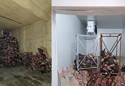 Mide bulandıran görüntü! Çürümüş büyükbaş hayvanlar satışa sunulacaktı