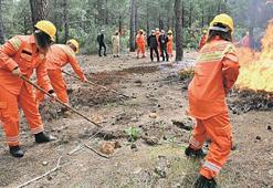 Gönüllü kahramanlar