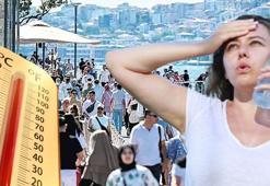 Sıcaklıkta zirveyi göreceğiz! İstanbullular dikkat: İşte beklenen dereceler