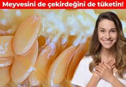 İster kavurun ister çayını demleyin! Meyvesi kadar çekirdeği de faydalıymış: Bağırsakları motor gibi çalıştırıyor