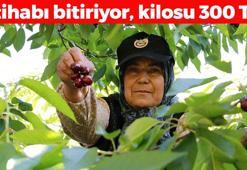 Konya'da hüzünlü hasat vakti, kilosu 300 TL'den satılıyor: İltihabı kurutup tıkalı damarları yağ sökücü gibi açıyor, kolesterolü silip atıyor!