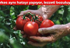 Domatesi dolaba sakın koymayın! Lezzetini korumanın püf noktası