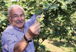 Başkan Güler'den Ferrero'ya karşı tarihi fındık mücadelesi