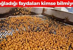 Günde 1 avuç tüketmek yetiyor! Kemikleri beton gibi güçlendirip kan şekerini terazi gibi dengeliyor! Damar sertleşmesini önlüyor