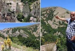 Sivas'ta görenler hayrete düşüyor! Hikayesini duyan kulaklarına inanamıyor: Meğer gelin olmak istemeyen genç kızın dileğiymiş