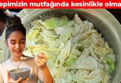 Türk mutfağının süper gıdası! Kefir ve yoğurdu solda sıfır bırakıyor: Turşusunu kurup yiyin, doğal sindirim ilacı