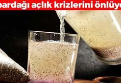 Diyet yapmadan zayıflamanın sırrı! İştahı bıçak gibi kesip anında tokluk sağlıyor, açlık krizlerini engelliyor!