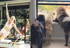 Yapay zeka batırdı