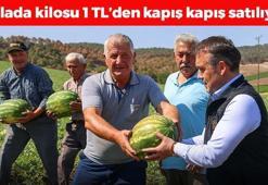 Tarlada kilosu 1 TL'den satılıyor! Kalbin meyvesi olarak biliniyor, kolesterolün kökünü kurutuyor!