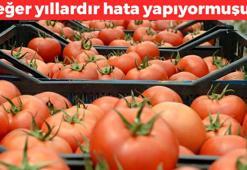 Meğer yıllardır hata yapıyormuşuz! Domatesi böyle saklamayın: Bozuluyor, tadını, kokusunu ve rengini yok ediyor…