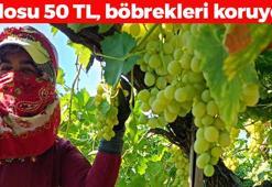 Kilosu 50 TL'den satılıyor! Böbrekleri diyalizin pençesinden kurtarıyor, damar sertleşmesini engelliyor!