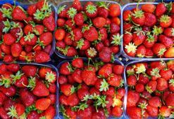 Çilekteki pestisiti saniyeler içinde temizliyor! Sirke ya da karbonattan daha etkili