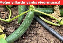 Kahvaltıların demirbaşı meğer böyle tüketilmemeliymiş! Besin değeri sıfırlanıyor, çöpten farkı kalmıyor