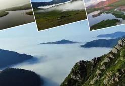 Göldeki yüzen adalar hava durumunu önceden söylüyor: Geleneksel meteorolojik tahmin