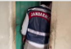 11 ilde organize suç örgütlerine operasyon düzenlendi