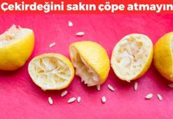 Çekirdeğini sakın çöpe atmayın! Yaz aylarının kahramanı oluyor: Kimyasal ürünlere para dökmeye son verin