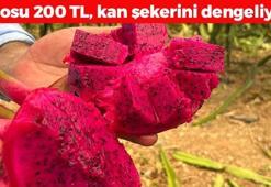 Alanya'da hasadı başladı! Kilosu 200 TL: Kan şekerini terazi gibi dengeleyip kolesterolü damardan kazıyor! Kalbin en kuvvetli meyvesi