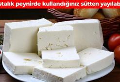 Evde peynir yaparken 2 kere düşünün! Salmonella, E. coli ve çok daha fazlası: Sağlığınız bir anda bozulabilir