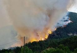 Ünlü isimlerden orman yangınında şehit düşenler için baş sağlığı mesajları: Başımız sağ olsun