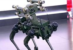 Dünyanın ilk robot köpeği 'KOZ' CNN TÜRK ekranlarında!