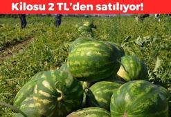 Fiyatı sakızdan daha ucuz! Samsun'da hasadı başladı: Doğal damar genişletici, kan akışını hızlandırıyor