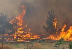 Bakan Yerlikaya: İzmir ve Bilecik afet bölgesi ilan edildi