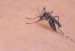 Çin'de virüs paniği! Foşan kentinde 4 bin 14 kişiye bulaştı