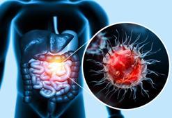 Sıcak havalarda bu gıdalara dikkat! Bağırsak enfeksiyonlarına davetiye çıkarabilir