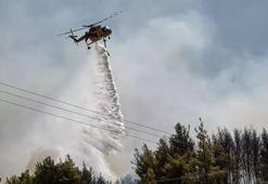 Komşu'da orman yangınları ülke geneline yayıldı! 24 saatte 50'den fazla nokta alev aldı
