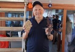 Denizlerin ormanı mercanlar koruma altında