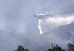Türkiye'de kaç tane yangın söndürme uçağı var? İşte Türkiye'nin orman yangınlarıyla mücadele gücü