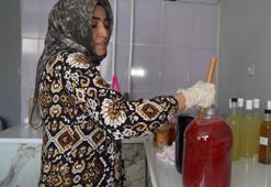 Gülden ahlata, kekikten vişneye her şeyden üretiyor! Hem sağlığa hem de ev ekonomisine katkı sağlıyor