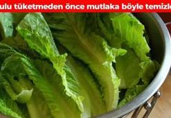 Maruldaki pestisiti saniyeler içinde arındırıyor! Sirke ya da karbonattan 10 kat daha etkili