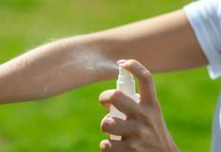 Prof. Dr. Özlü'den 'Chikungunya' uyarısı: Türkiye için şu an yakın tehdit yok