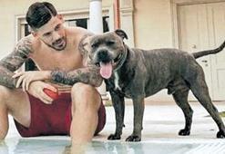 Köpek saldırısı mağduru