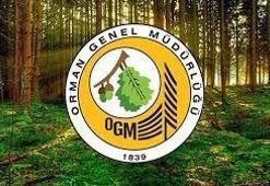 Orman Genel Müdürlüğü: Yangınlarla mücadelede yetersiz kalındığı haberleri gerçeği yansıtmıyor