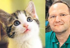 'Kedi tüyü' dediler akciğer kanseri çıktı