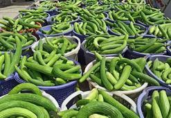 Kemiklere K vitamini yükleyip çelik gibi güçlendiriyor! Çarşıda, pazarda kilo kilo alın: Tam bir potasyum zengini