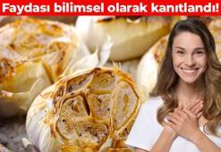 Damar sertliğini engelleyen süper besin! Kalbi kaya gibi kuvvetlendiriyor, resmen doğal antibiyotik