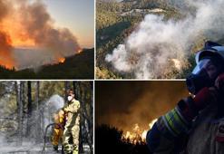 Alevler ormanı yakıyor, dumanı ciğerleri mahvediyor! KOAH ve astım hastaları alarmda: Belirtileri tetikliyor