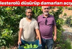 Antalya'da hasadı başladı! Tanesi 45 TL: Kolesterolün kökünü kurutup tıkalı damarları yağ çözücü gibi açıyor! Magnezyum ve potasyum zengini